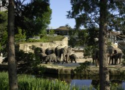 Elefantenpark 
(c) Zoo Köln