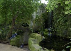 Tropenhaus / Regenwald 
(c) Zoo Köln