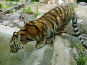 Zoologischer Garten Magdeburg in Magdeburg